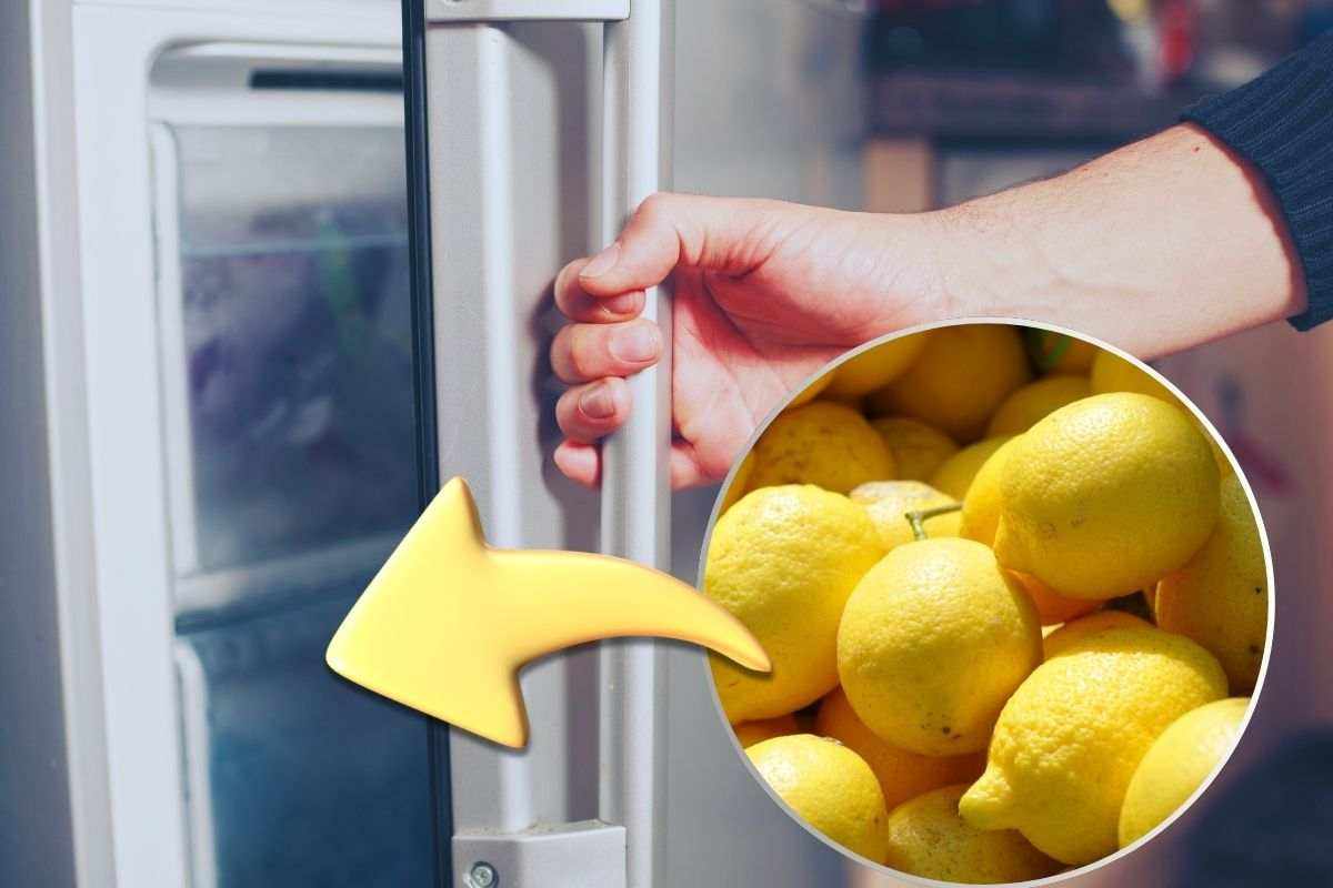 Sempre più persone congelano i limoni